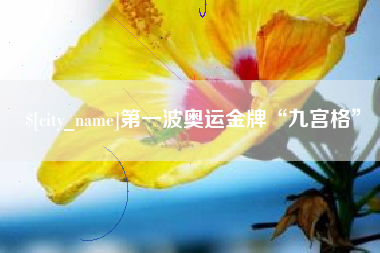 南阳第一波奥运金牌“九宫格”