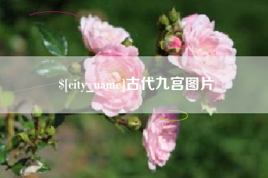 南阳古代九宫图片