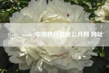 南阳中国执行信息公开网 网址
