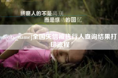 南阳全国失信被执行人查询结果打印流程