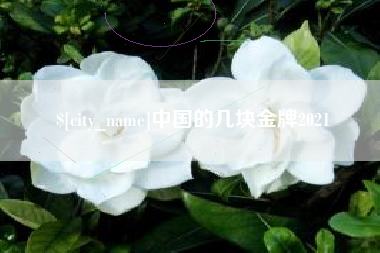 南阳中国的几块金牌2021