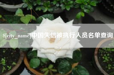 南阳中国失信被执行人员名单查询