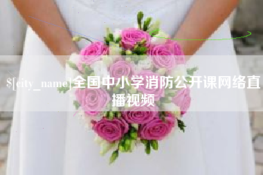 南阳全国中小学消防公开课网络直播视频