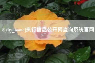 南阳执行信息公开网查询系统官网