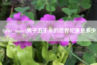 南阳男子五千米的世界纪录是多少