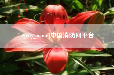 南阳中国消防网平台