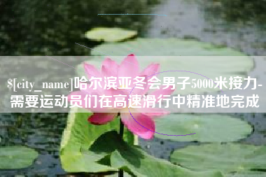南阳哈尔滨亚冬会男子5000米接力-需要运动员们在高速滑行中精准地完成