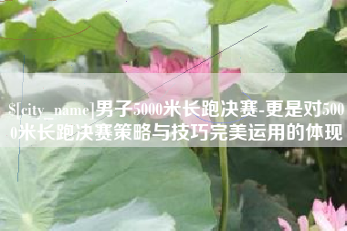 南阳男子5000米长跑决赛-更是对5000米长跑决赛策略与技巧完美运用的体现