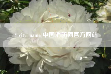 南阳中国消防网官方网站