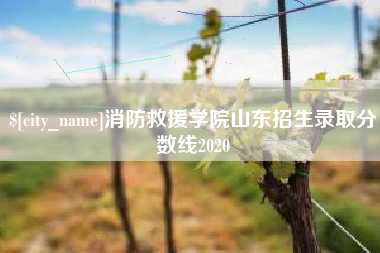南阳消防救援学院山东招生录取分数线2020