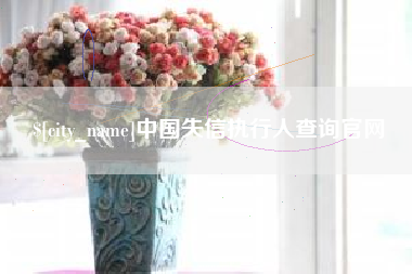 南阳中国失信执行人查询官网