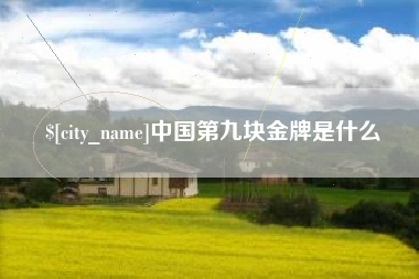南阳中国第九块金牌是什么
