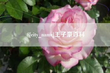 南阳王子豪百科