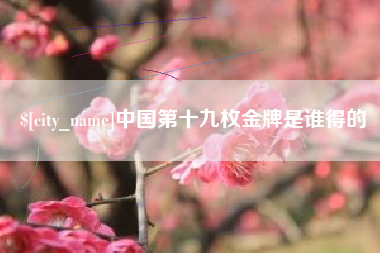 南阳中国第十九枚金牌是谁得的