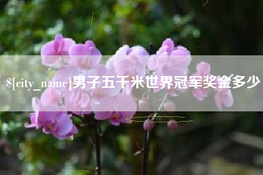 南阳男子五千米世界冠军奖金多少