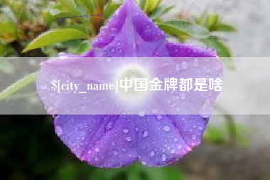 南阳中国金牌都是啥
