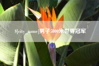 南阳男子5000米世界冠军