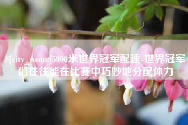 南阳5000米世界冠军配速-世界冠军们往往能在比赛中巧妙地分配体力