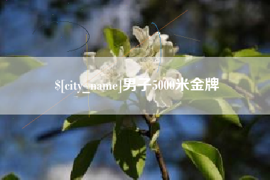 南阳男子5000米金牌