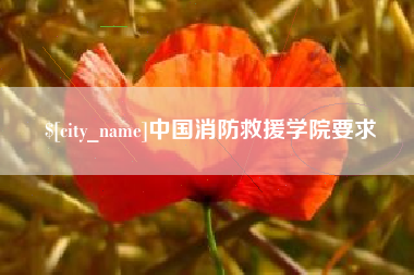 南阳中国消防救援学院要求