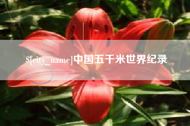 南阳中国五千米世界纪录