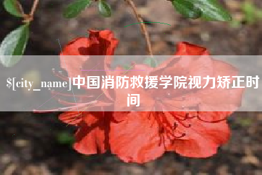 南阳中国消防救援学院视力矫正时间