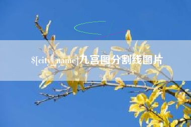 南阳九宫图分割线图片
