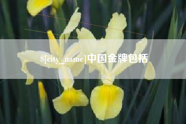 南阳中国金牌包括