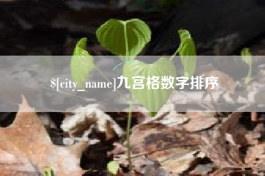 南阳九宫格数字排序