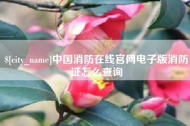 南阳中国消防在线官网电子版消防证怎么查询