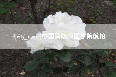 南阳中国消防救援学院航拍