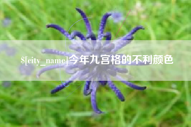 南阳今年九宫格的不利颜色