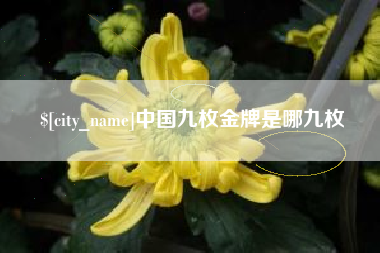 南阳中国九枚金牌是哪九枚