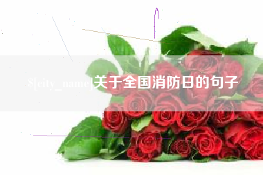 南阳关于全国消防日的句子