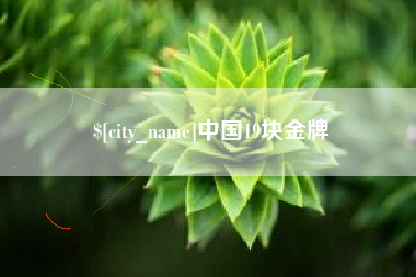 南阳中国19块金牌