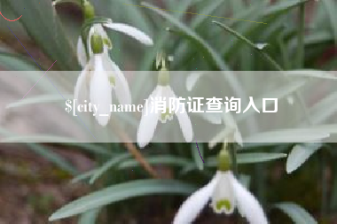 南阳消防证查询入口