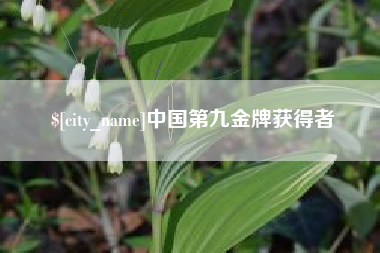南阳中国第九金牌获得者
