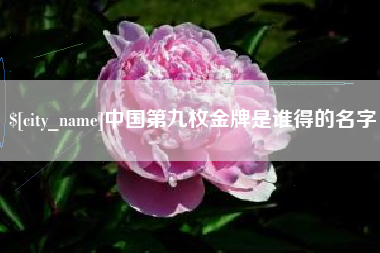 南阳中国第九枚金牌是谁得的名字