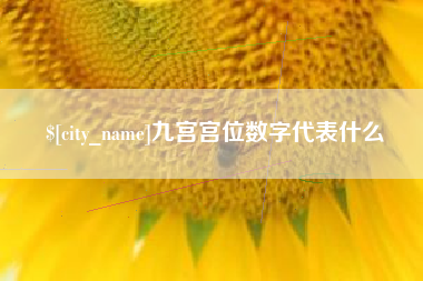 南阳九宫宫位数字代表什么