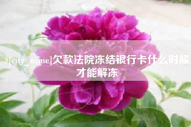 南阳欠款法院冻结银行卡什么时候才能解冻