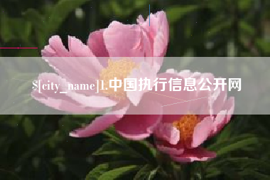 南阳1.中国执行信息公开网