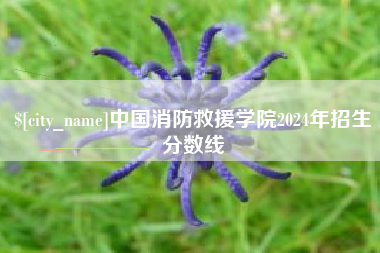 南阳中国消防救援学院2024年招生分数线