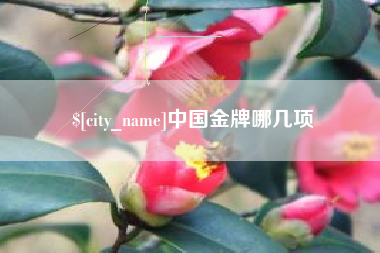 南阳中国金牌哪几项