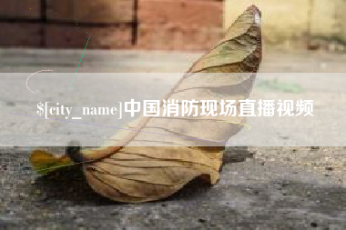 南阳中国消防现场直播视频