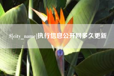 南阳执行信息公开网多久更新