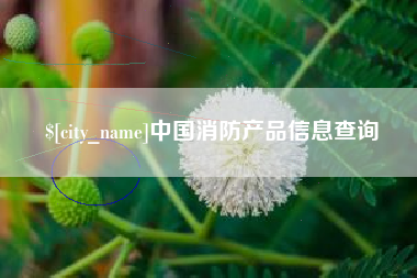 南阳中国消防产品信息查询