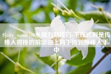 南阳60米接力赛技巧-下压式则是传棒人将棒的前部由上向下传到接棒人手中