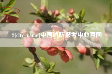 南阳中国消防报考中心官网