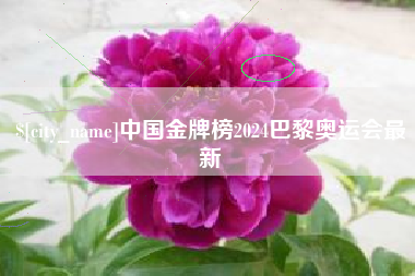 南阳中国金牌榜2024巴黎奥运会最新