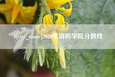南阳2020年消防学院分数线